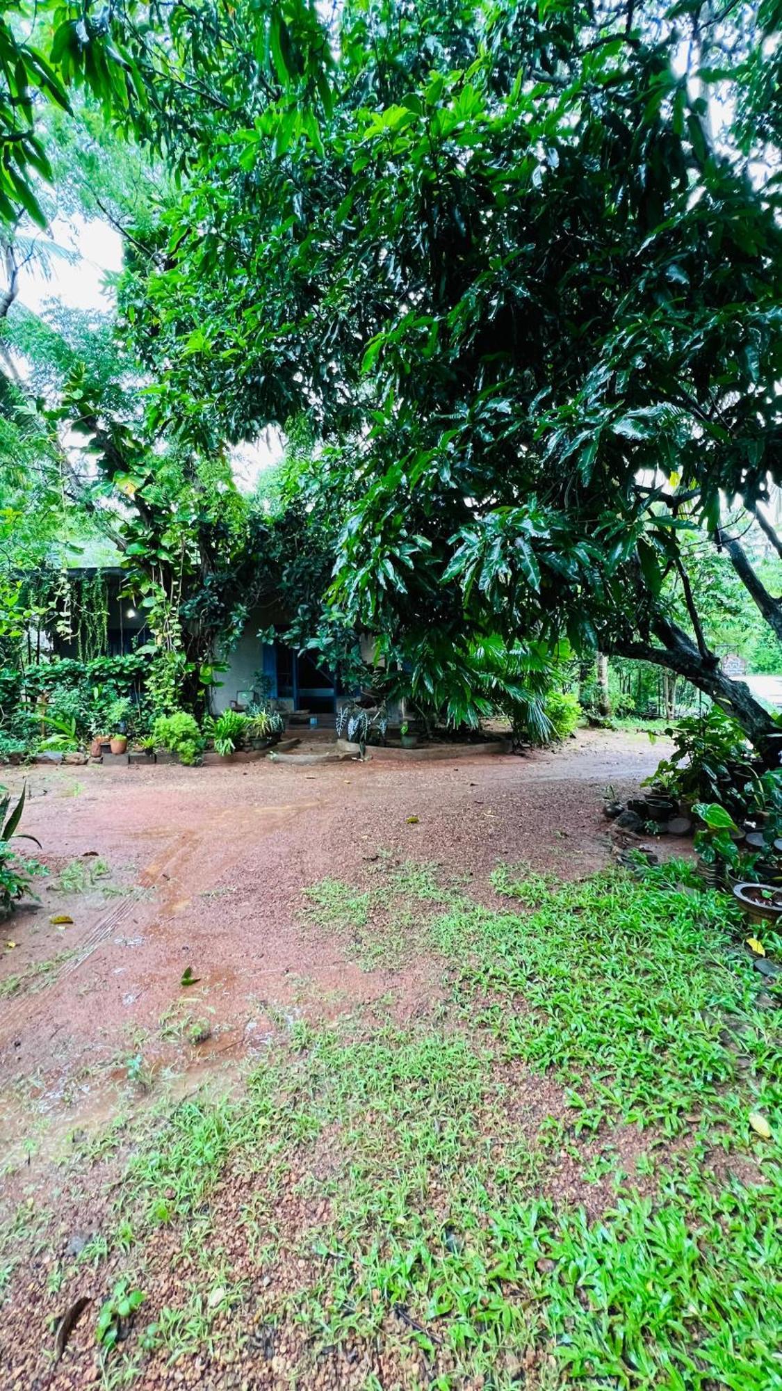 Kataragama Homestay Exterior foto