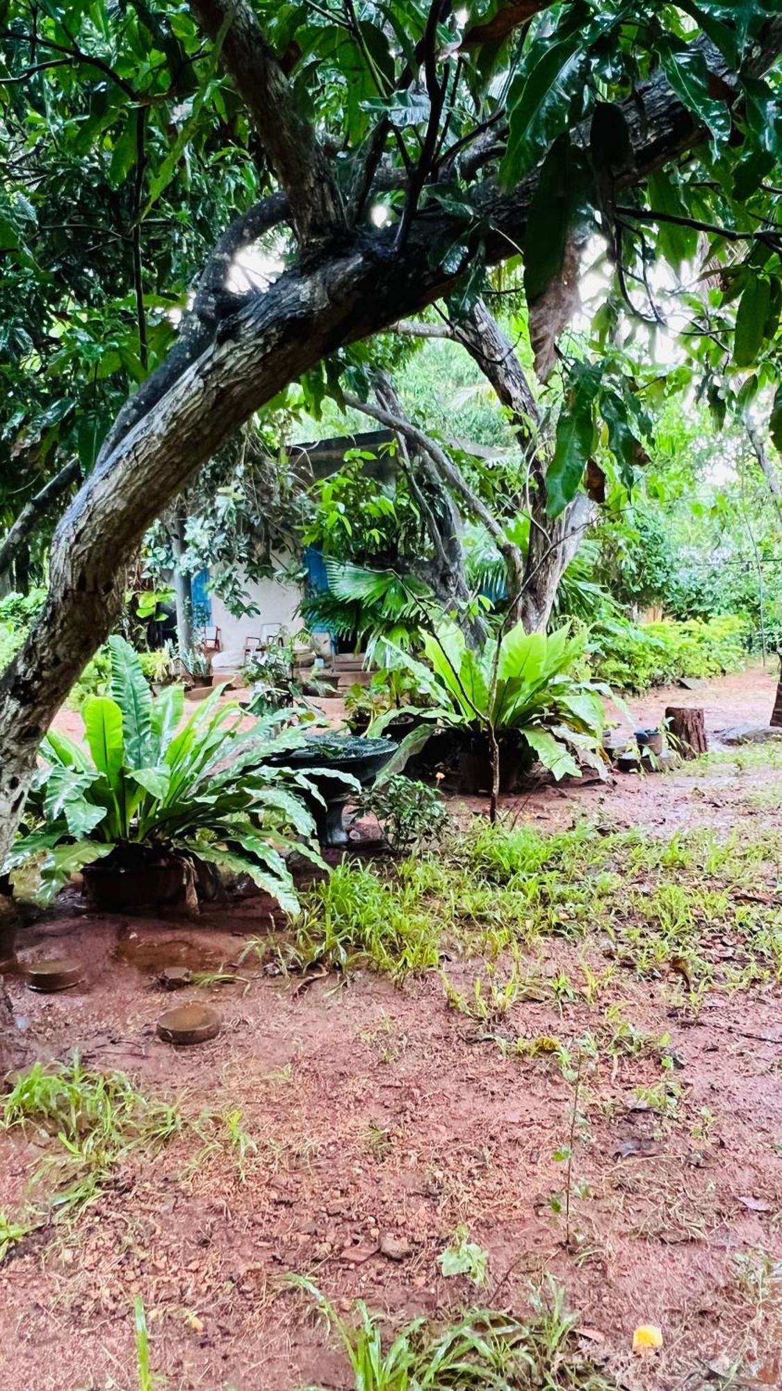 Kataragama Homestay Exterior foto